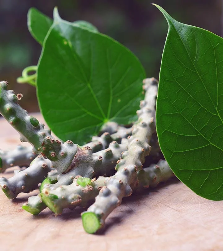 Guduchi (Tinospora cordifolia) in women's metabolic and reproductive health